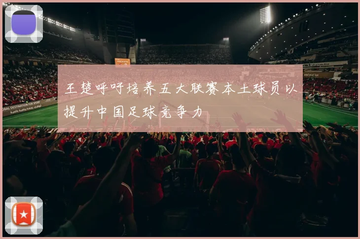 王楚呼吁培养五大联赛本土球员以提升中国足球竞争力