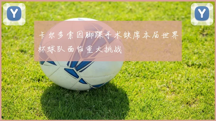 卡尔多索因脚踝手术缺席本届世界杯球队面临重大挑战